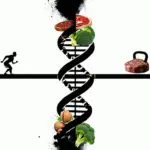 A Ciência do CrossFit: Entenda a Metodologia por Trás do Treino e da Nutrição