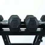 O Treino de Bíceps Ideal para Homens Acima de 40 Anos: Força, Prevenção e Inteligência